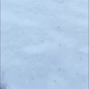 Meet your Posher, Larissa